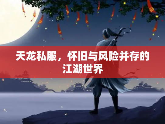 天龙私服，怀旧与风险并存的江湖世界