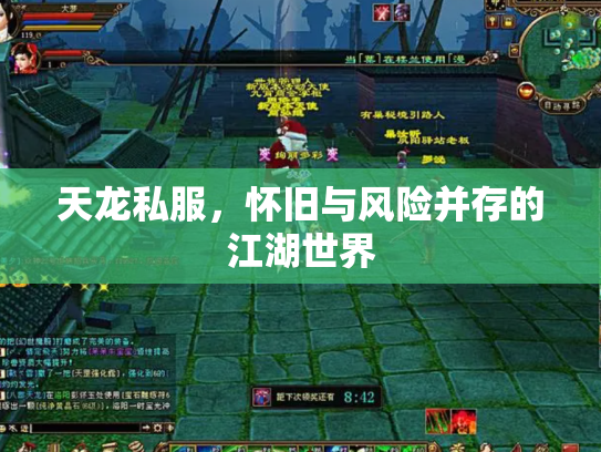 天龙私服，怀旧与风险并存的江湖世界
