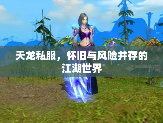 天龙私服，怀旧与风险并存的江湖世界