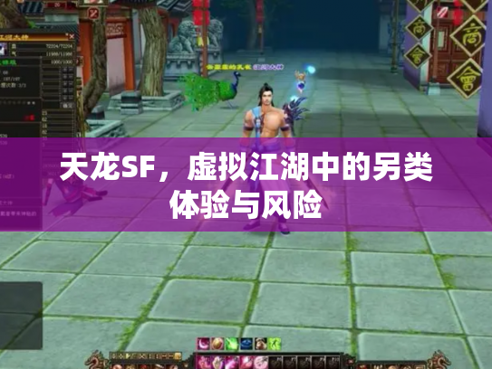 天龙SF，虚拟江湖中的另类体验与风险