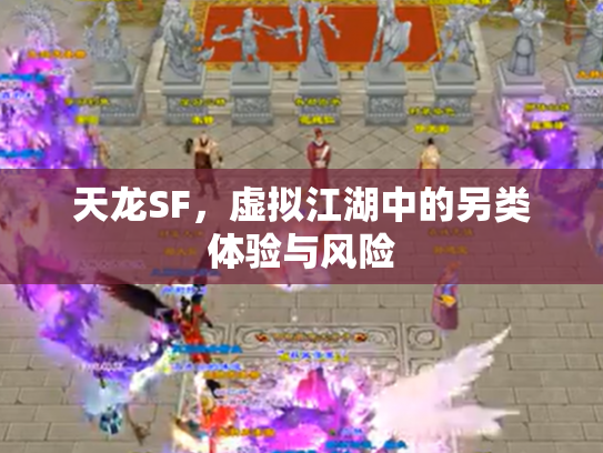 天龙SF，虚拟江湖中的另类体验与风险