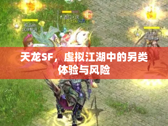 天龙SF，虚拟江湖中的另类体验与风险