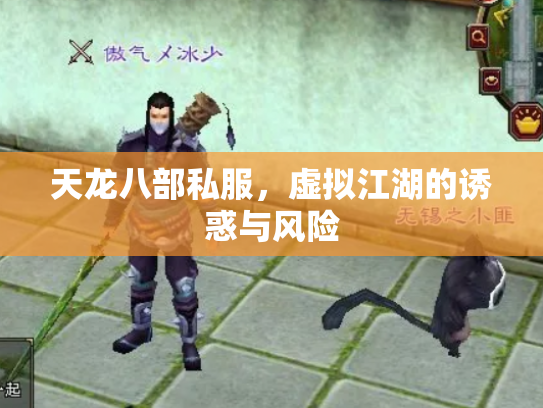天龙八部私服，虚拟江湖的诱惑与风险