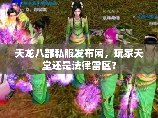 天龙八部私服发布网，玩家天堂还是法律雷区？