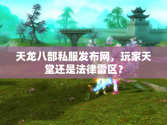 天龙八部私服发布网，玩家天堂还是法律雷区？
