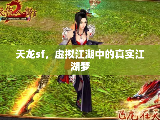 天龙sf，虚拟江湖中的真实江湖梦