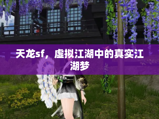 天龙sf，虚拟江湖中的真实江湖梦