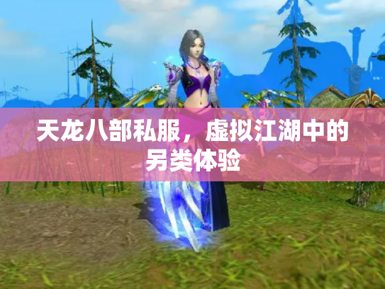天龙八部私服，虚拟江湖中的另类体验