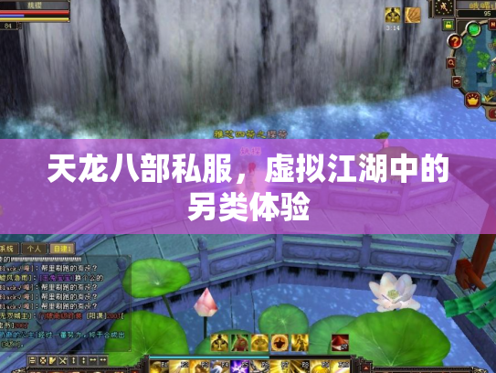 天龙八部私服，虚拟江湖中的另类体验