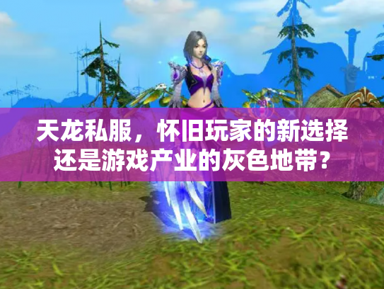 天龙私服，怀旧玩家的新选择还是游戏产业的灰色地带？