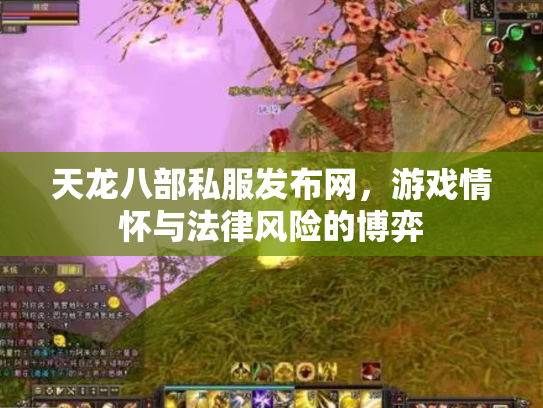 天龙八部私服发布网，游戏情怀与法律风险的博弈