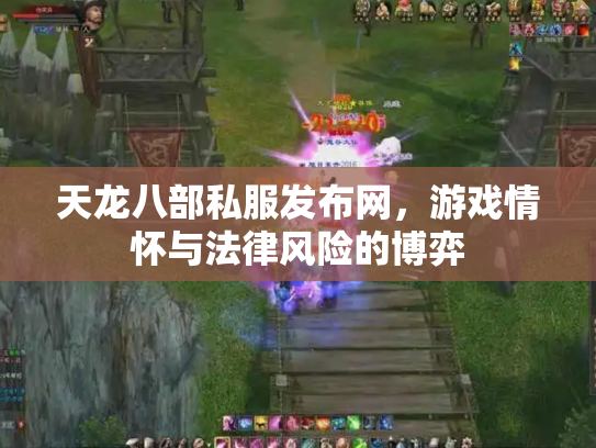 天龙八部私服发布网，游戏情怀与法律风险的博弈
