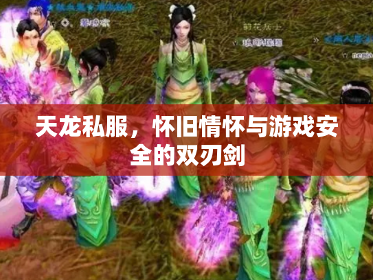 天龙私服，怀旧情怀与游戏安全的双刃剑