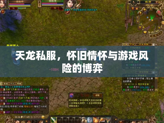 天龙私服，怀旧情怀与游戏风险的博弈
