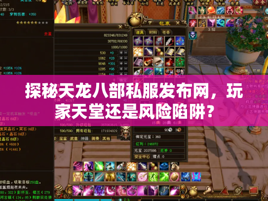 探秘天龙八部私服发布网，玩家天堂还是风险陷阱？