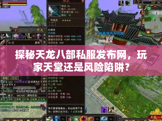 探秘天龙八部私服发布网，玩家天堂还是风险陷阱？