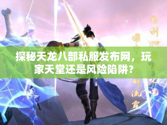 探秘天龙八部私服发布网，玩家天堂还是风险陷阱？