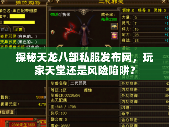 探秘天龙八部私服发布网，玩家天堂还是风险陷阱？