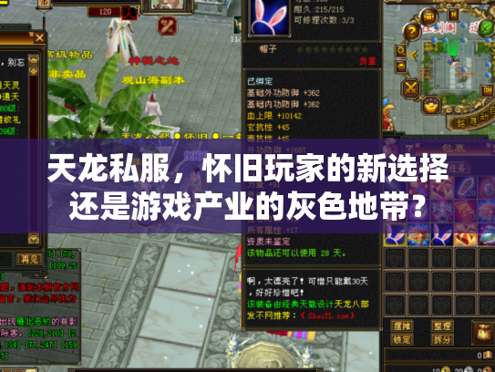 天龙私服，怀旧玩家的新选择还是游戏产业的灰色地带？