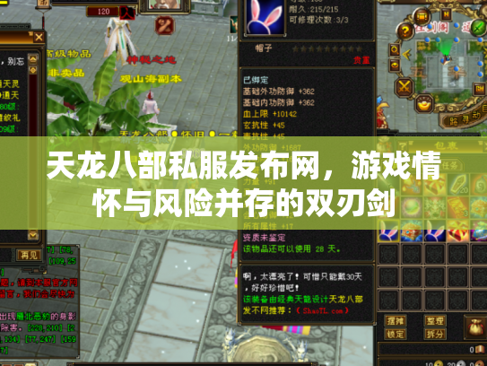 天龙八部私服发布网，游戏情怀与风险并存的双刃剑
