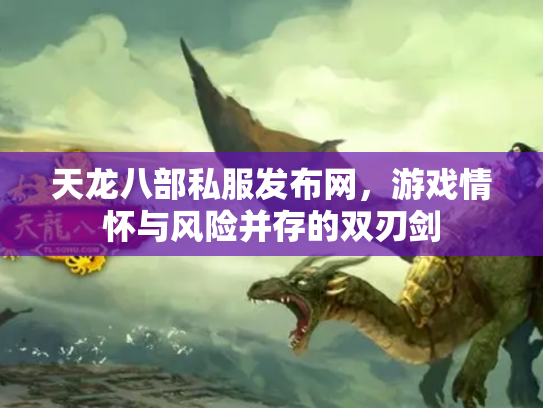 天龙八部私服发布网，游戏情怀与风险并存的双刃剑