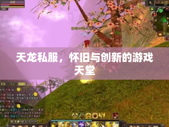 天龙私服，怀旧与创新的游戏天堂