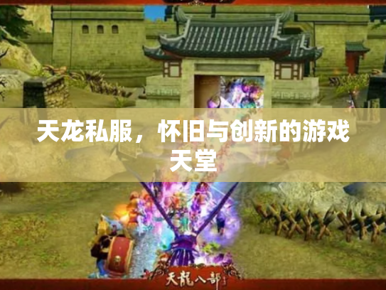 天龙私服，怀旧与创新的游戏天堂