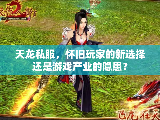 天龙私服，怀旧玩家的新选择还是游戏产业的隐患？