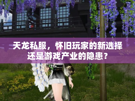 天龙私服，怀旧玩家的新选择还是游戏产业的隐患？
