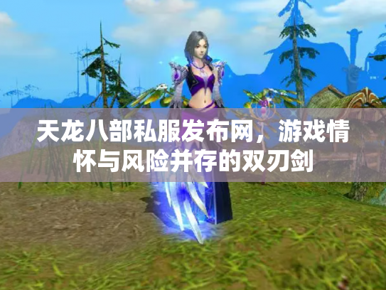 天龙八部私服发布网，游戏情怀与风险并存的双刃剑