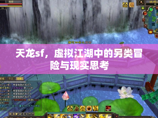 天龙sf，虚拟江湖中的另类冒险与现实思考