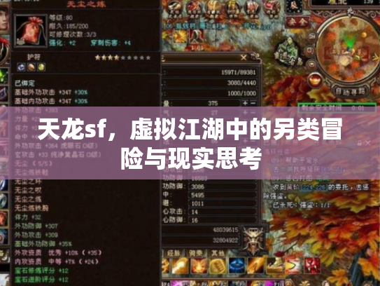 天龙sf，虚拟江湖中的另类冒险与现实思考