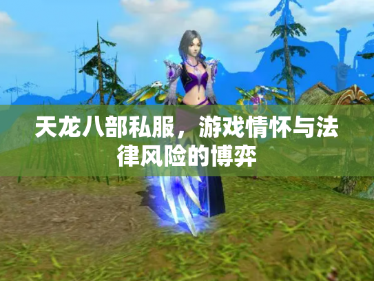 天龙八部私服，游戏情怀与法律风险的博弈