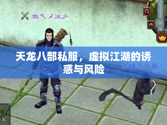 天龙八部私服，虚拟江湖的诱惑与风险