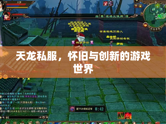 天龙私服，怀旧与创新的游戏世界