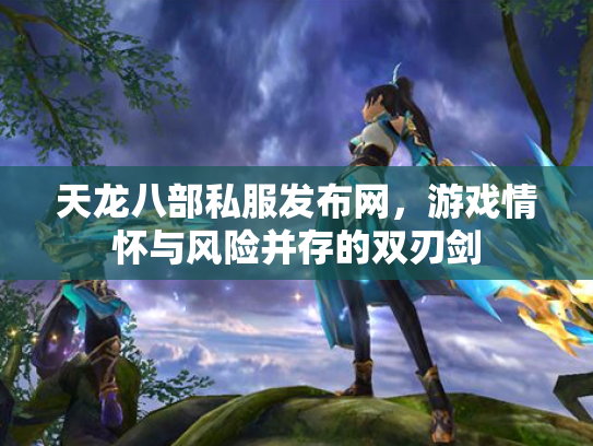 天龙八部私服发布网，游戏情怀与风险并存的双刃剑