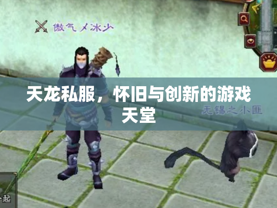 天龙私服，怀旧与创新的游戏天堂