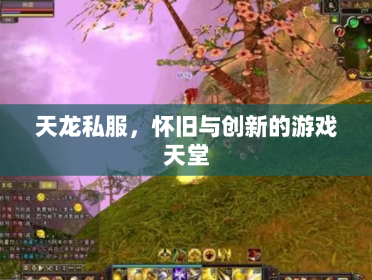 天龙私服，怀旧与创新的游戏天堂