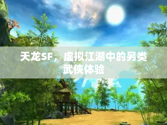 天龙SF，虚拟江湖中的另类武侠体验