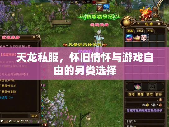 天龙私服，怀旧情怀与游戏自由的另类选择