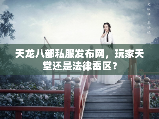 天龙八部私服发布网，玩家天堂还是法律雷区？