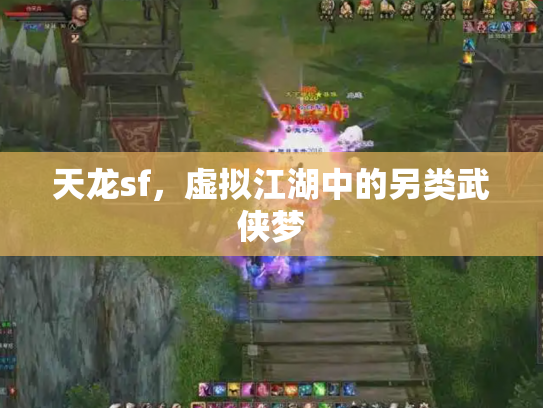 天龙sf，虚拟江湖中的另类武侠梦