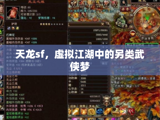 天龙sf，虚拟江湖中的另类武侠梦