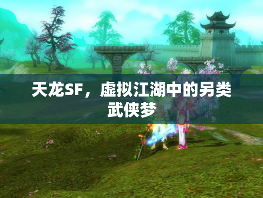 天龙SF，虚拟江湖中的另类武侠梦