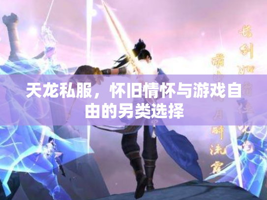 天龙私服，怀旧情怀与游戏自由的另类选择