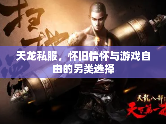 天龙私服，怀旧情怀与游戏自由的另类选择