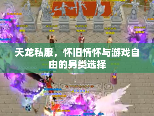 天龙私服，怀旧情怀与游戏自由的另类选择