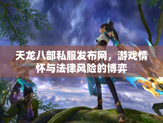 天龙八部私服发布网，游戏情怀与法律风险的博弈