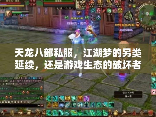 天龙八部私服，江湖梦的另类延续，还是游戏生态的破坏者？