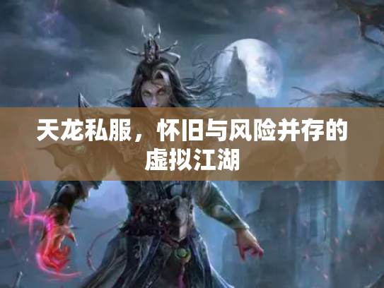天龙私服，怀旧与风险并存的虚拟江湖